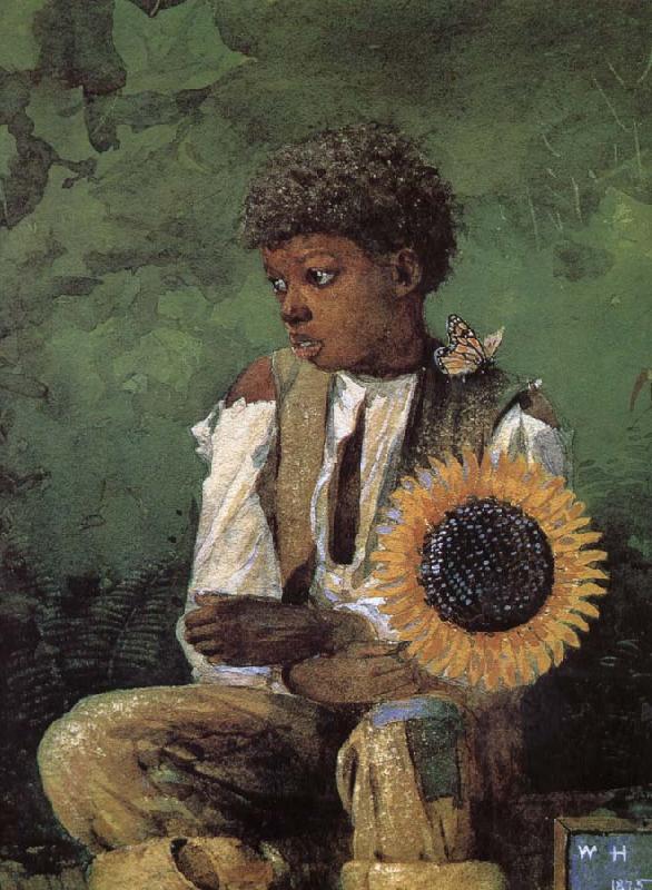 Winslow Homer Dedicated to the teacher s sunflower oil painting image